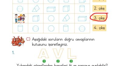 2. Sınıf Meb Yayınları Matematik Ders Kitabı Sayfa 160 Cevapları