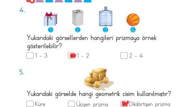 2. Sınıf Meb Yayınları Matematik Ders Kitabı Sayfa 161 Cevapları