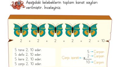 2. Sınıf Meb Yayınları Matematik Ders Kitabı Sayfa 166 Cevapları