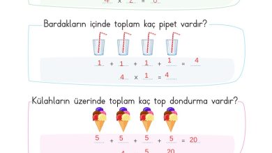 2. Sınıf Meb Yayınları Matematik Ders Kitabı Sayfa 167 Cevapları