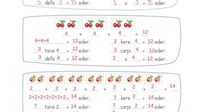 2. Sınıf Meb Yayınları Matematik Ders Kitabı Sayfa 169 Cevapları