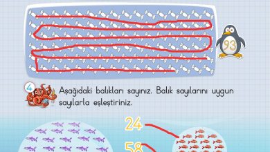 2. Sınıf Meb Yayınları Matematik Ders Kitabı Sayfa 17 Cevapları