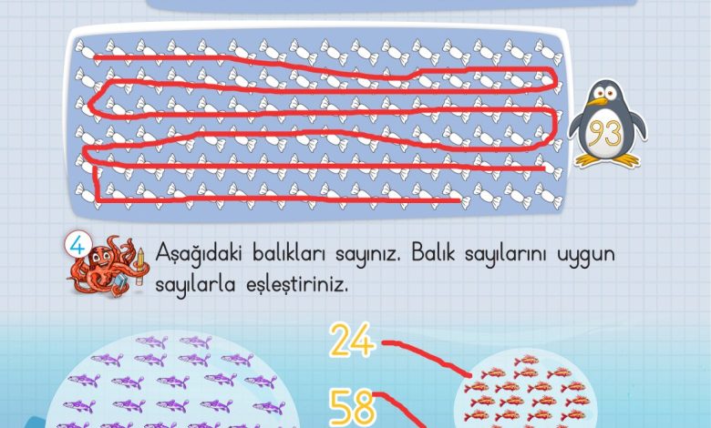 2. Sınıf Meb Yayınları Matematik Ders Kitabı Sayfa 17 Cevapları