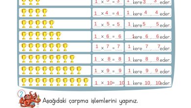 2. Sınıf Meb Yayınları Matematik Ders Kitabı Sayfa 170 Cevapları