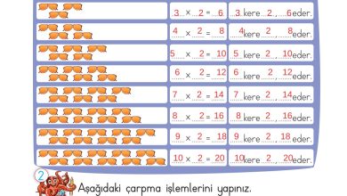 2. Sınıf Meb Yayınları Matematik Ders Kitabı Sayfa 171 Cevapları