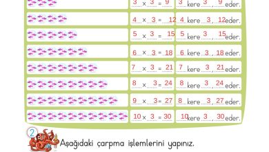 2. Sınıf Meb Yayınları Matematik Ders Kitabı Sayfa 172 Cevapları