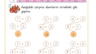 2. Sınıf Meb Yayınları Matematik Ders Kitabı Sayfa 176 Cevapları