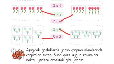 2. Sınıf Meb Yayınları Matematik Ders Kitabı Sayfa 179 Cevapları