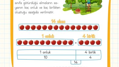 2. Sınıf Meb Yayınları Matematik Ders Kitabı Sayfa 18 Cevapları