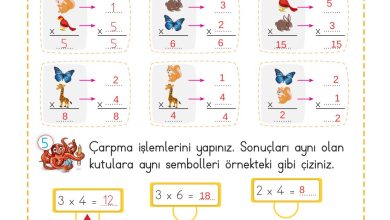 2. Sınıf Meb Yayınları Matematik Ders Kitabı Sayfa 183 Cevapları