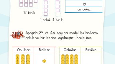 2. Sınıf Meb Yayınları Matematik Ders Kitabı Sayfa 19 Cevapları