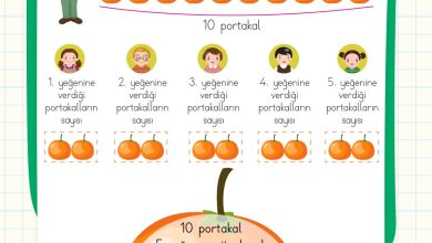 2. Sınıf Meb Yayınları Matematik Ders Kitabı Sayfa 191 Cevapları