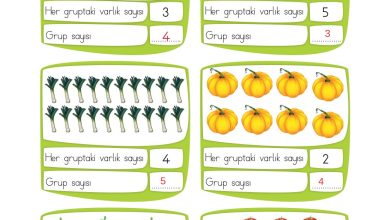 2. Sınıf Meb Yayınları Matematik Ders Kitabı Sayfa 193 Cevapları