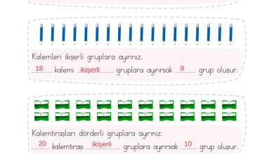 2. Sınıf Meb Yayınları Matematik Ders Kitabı Sayfa 195 Cevapları