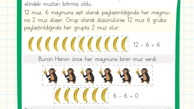 2. Sınıf Meb Yayınları Matematik Ders Kitabı Sayfa 196 Cevapları