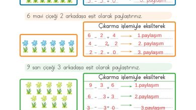 2. Sınıf Meb Yayınları Matematik Ders Kitabı Sayfa 197 Cevapları