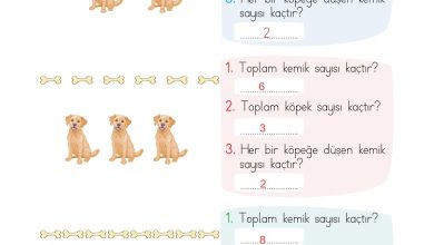 2. Sınıf Meb Yayınları Matematik Ders Kitabı Sayfa 198 Cevapları