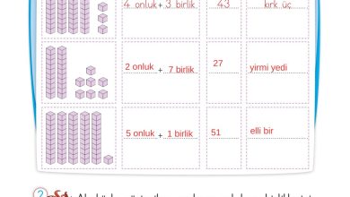 2. Sınıf Meb Yayınları Matematik Ders Kitabı Sayfa 20 Cevapları