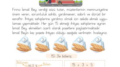 2. Sınıf Meb Yayınları Matematik Ders Kitabı Sayfa 202 Cevapları