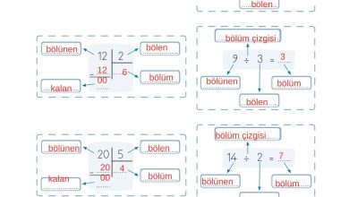 2. Sınıf Meb Yayınları Matematik Ders Kitabı Sayfa 203 Cevapları