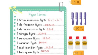 2. Sınıf Meb Yayınları Matematik Ders Kitabı Sayfa 206 Cevapları