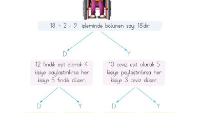 2. Sınıf Meb Yayınları Matematik Ders Kitabı Sayfa 207 Cevapları