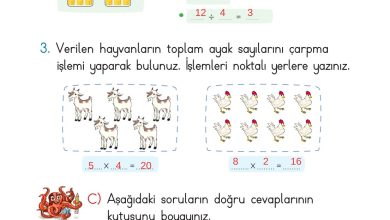 2. Sınıf Meb Yayınları Matematik Ders Kitabı Sayfa 209 Cevapları