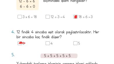 2. Sınıf Meb Yayınları Matematik Ders Kitabı Sayfa 210 Cevapları