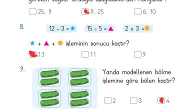 2. Sınıf Meb Yayınları Matematik Ders Kitabı Sayfa 211 Cevapları