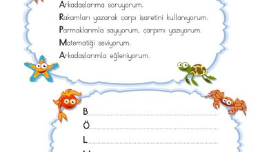 2. Sınıf Meb Yayınları Matematik Ders Kitabı Sayfa 212 Cevapları