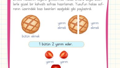 2. Sınıf Meb Yayınları Matematik Ders Kitabı Sayfa 215 Cevapları