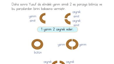 2. Sınıf Meb Yayınları Matematik Ders Kitabı Sayfa 216 Cevapları