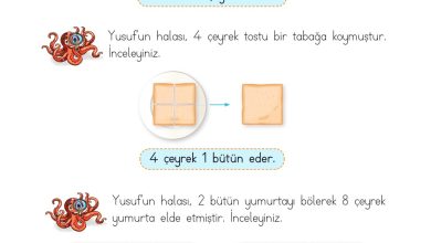 2. Sınıf Meb Yayınları Matematik Ders Kitabı Sayfa 217 Cevapları