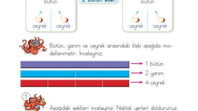 2. Sınıf Meb Yayınları Matematik Ders Kitabı Sayfa 219 Cevapları