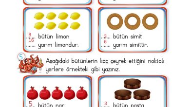 2. Sınıf Meb Yayınları Matematik Ders Kitabı Sayfa 222 Cevapları