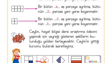 2. Sınıf Meb Yayınları Matematik Ders Kitabı Sayfa 223 Cevapları