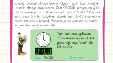 2. Sınıf Meb Yayınları Matematik Ders Kitabı Sayfa 224 Cevapları