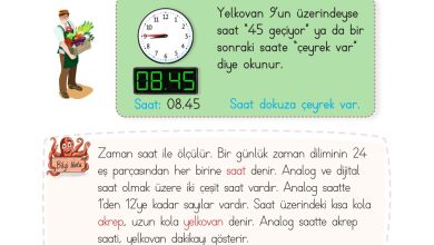 2. Sınıf Meb Yayınları Matematik Ders Kitabı Sayfa 225 Cevapları