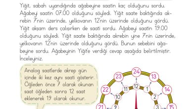 2. Sınıf Meb Yayınları Matematik Ders Kitabı Sayfa 227 Cevapları