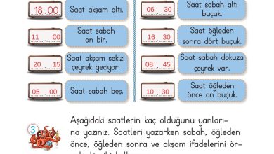 2. Sınıf Meb Yayınları Matematik Ders Kitabı Sayfa 228 Cevapları