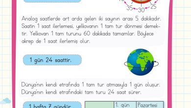 2. Sınıf Meb Yayınları Matematik Ders Kitabı Sayfa 233 Cevapları