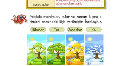 2. Sınıf Meb Yayınları Matematik Ders Kitabı Sayfa 235 Cevapları