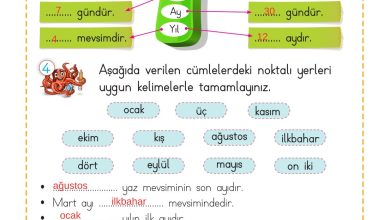 2. Sınıf Meb Yayınları Matematik Ders Kitabı Sayfa 236 Cevapları