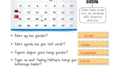 2. Sınıf Meb Yayınları Matematik Ders Kitabı Sayfa 237 Cevapları