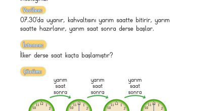 2. Sınıf Meb Yayınları Matematik Ders Kitabı Sayfa 239 Cevapları