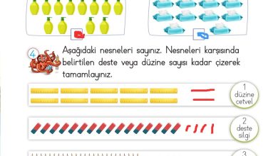 2. Sınıf Meb Yayınları Matematik Ders Kitabı Sayfa 24 Cevapları