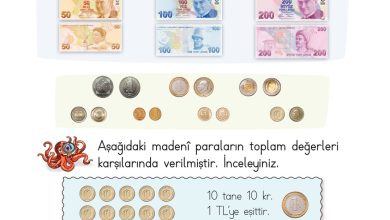 2. Sınıf Meb Yayınları Matematik Ders Kitabı Sayfa 244 Cevapları