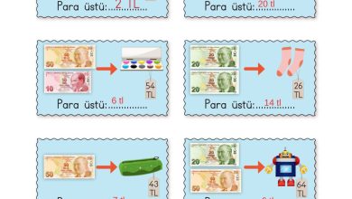 2. Sınıf Meb Yayınları Matematik Ders Kitabı Sayfa 248 Cevapları