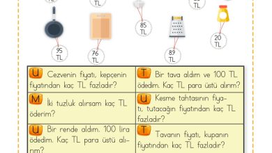 2. Sınıf Meb Yayınları Matematik Ders Kitabı Sayfa 253 Cevapları