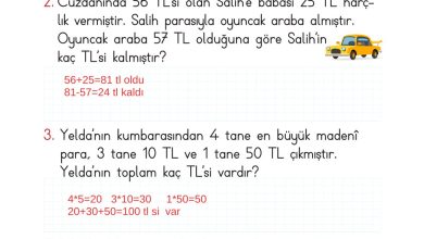 2. Sınıf Meb Yayınları Matematik Ders Kitabı Sayfa 254 Cevapları